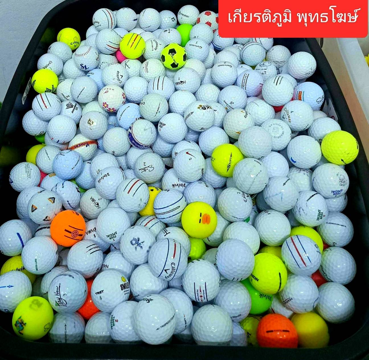 แพ็คคละสี 50 ลูก